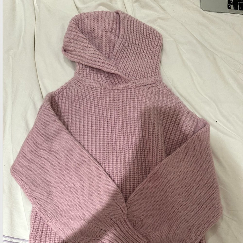 Ann Taylor Sweater hoodie